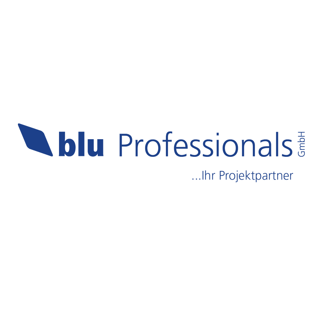 blu Professionals GmbH